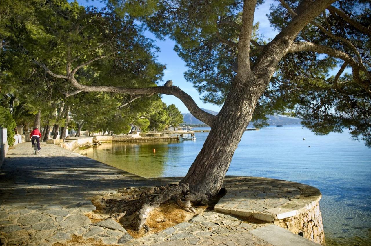 Appartement Oratge 1 Port de Pollença
